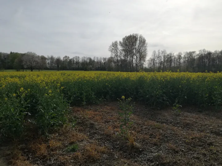 Les Lacs de l'eau d'Heure, Froidchapelle (België)